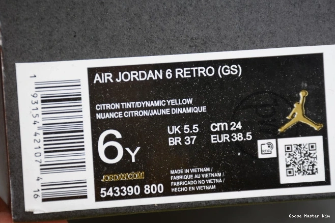 6 Dynamic Floral Yellow 543390-800 Air (GS) Jordan Retro 0702